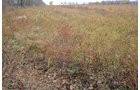 Property photo 34 - 80 Acres & Home - Property Offered in 4 Tracts from 2.3 to 30.0 Acres